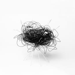 Vogelnest